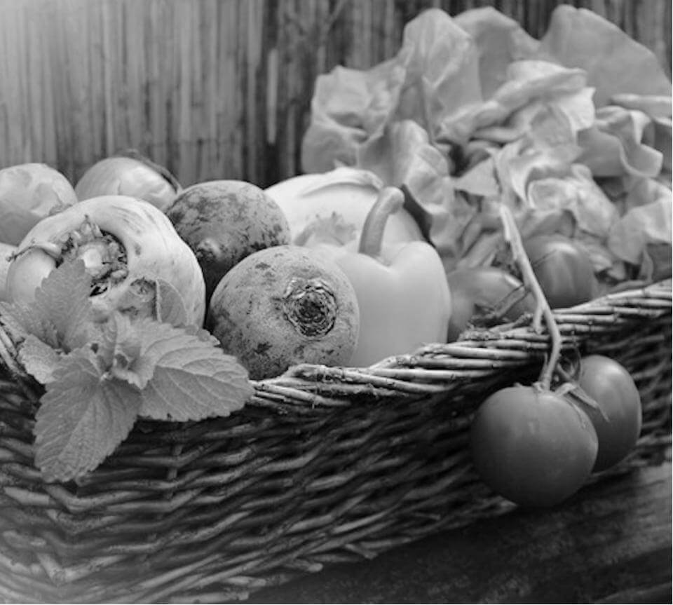 Let Food Be Thy Medicine