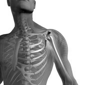 Shoulder Problems? See a Shoulder Specialist In Armonk